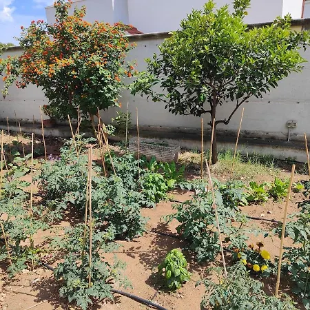 Il Giardino Di Alessandra